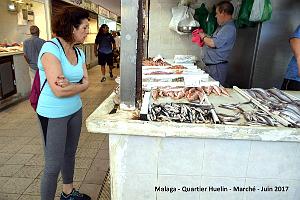 305- Malaga Huelin